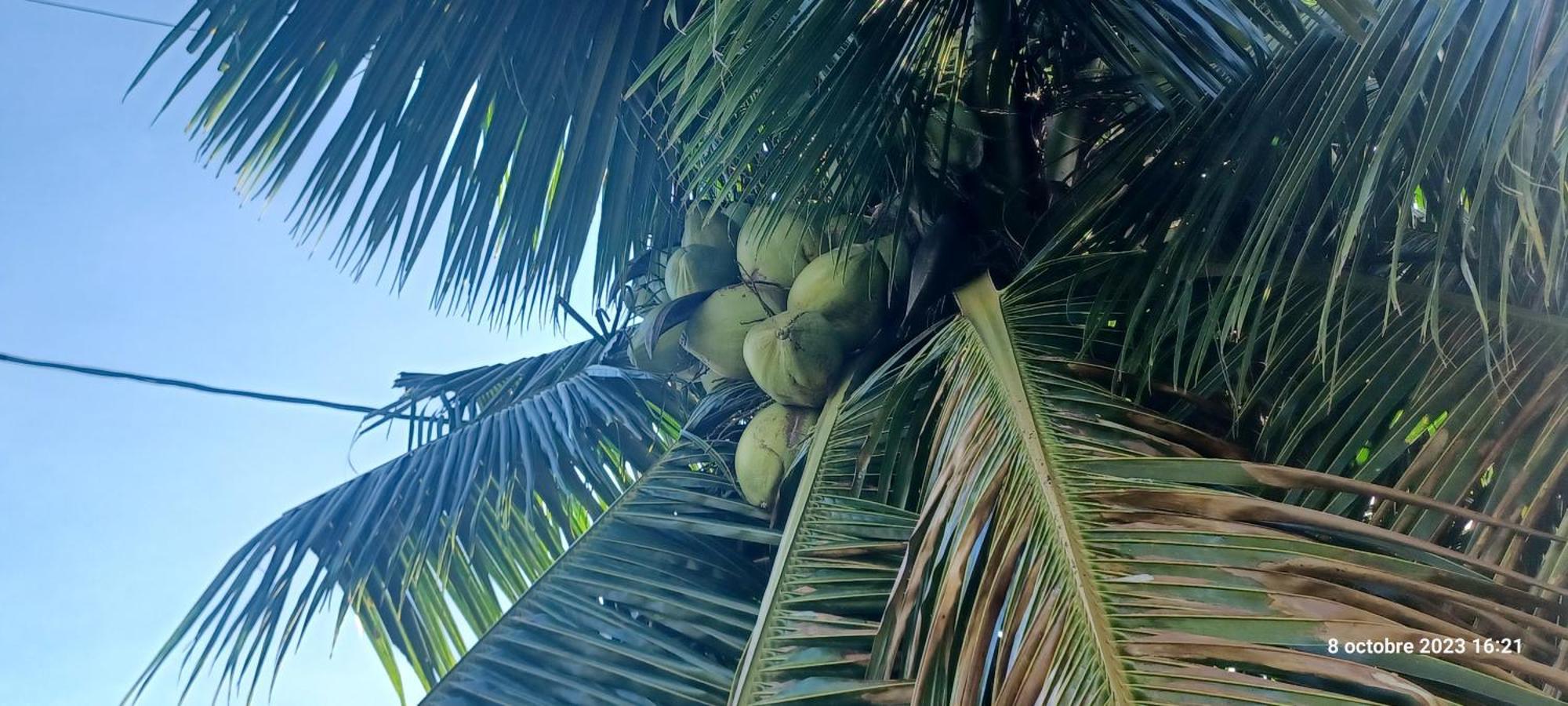 Hava'E Lodge Teahupoo Zewnętrze zdjęcie